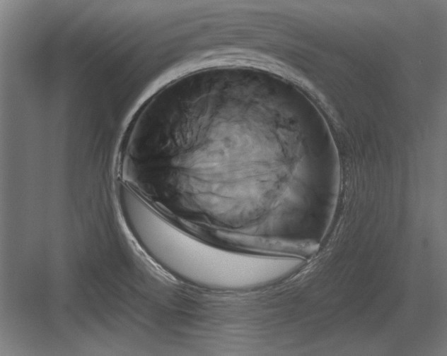X0000084011522200702161148