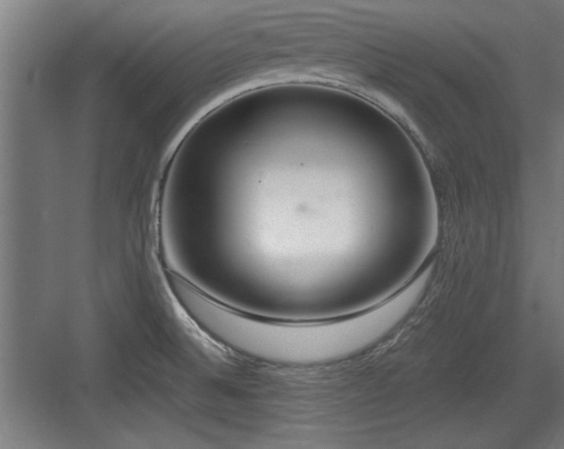 X0000084011524200702161148