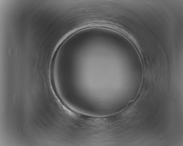 X0000084011533200702161148
