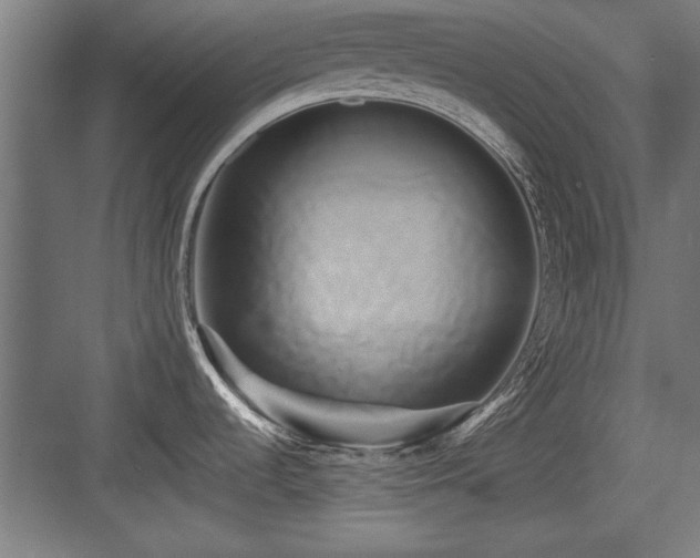 X0000084011536200702161148