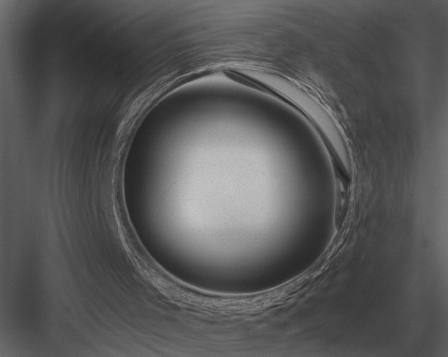 X0000084010001200702232217