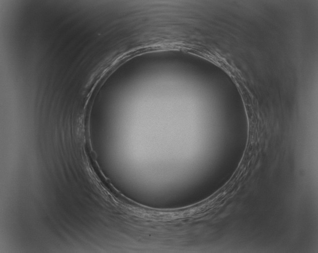 X0000084010002200702232217