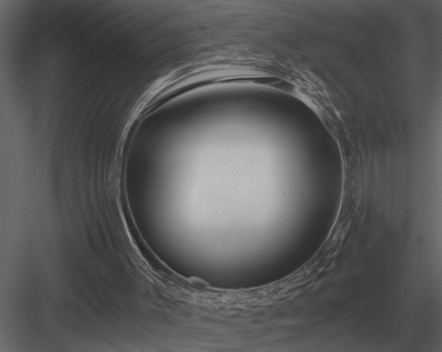 X0000084010003200702232217