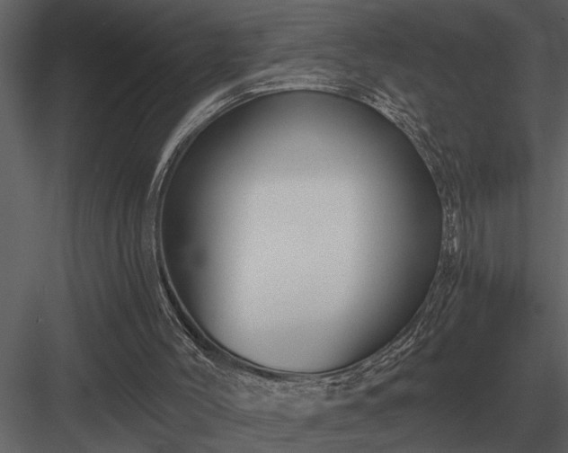 X0000084010004200702232217