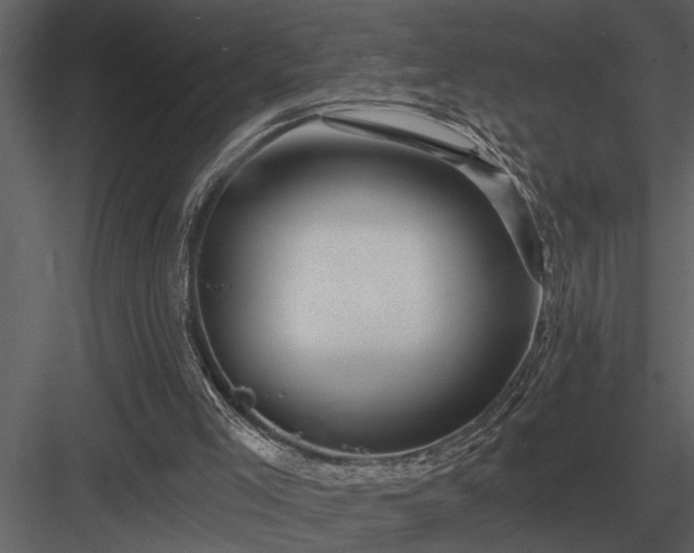 X0000084010005200702232217