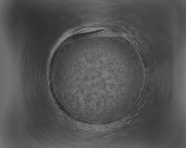 X0000084010006200702232217