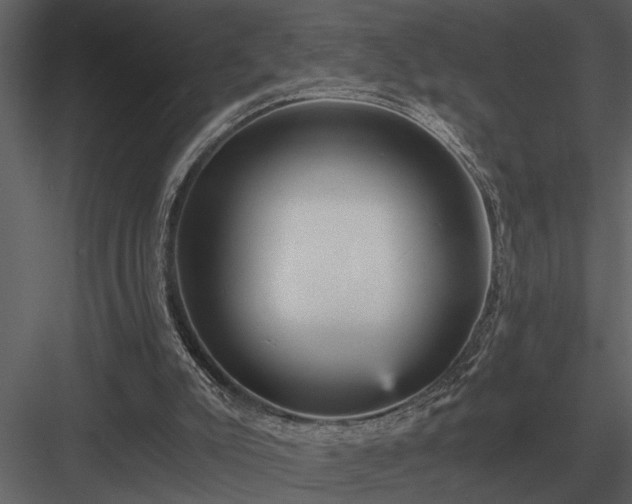 X0000084010007200702232217