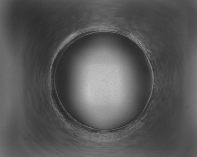 X0000084010008200702232217