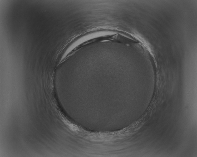 X0000084010009200702232217