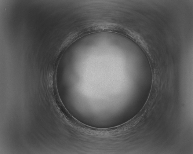 X0000084010010200702232217