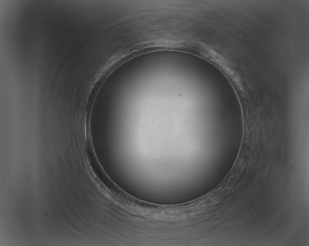 X0000084010011200702232217