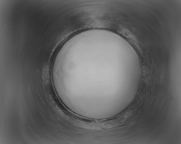 X0000084010012200702232216