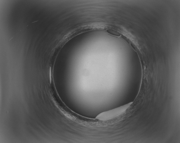 X0000084010013200702232216