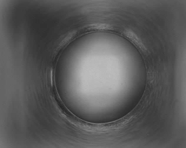 X0000084010014200702232216