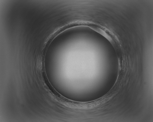 X0000084010015200702232216