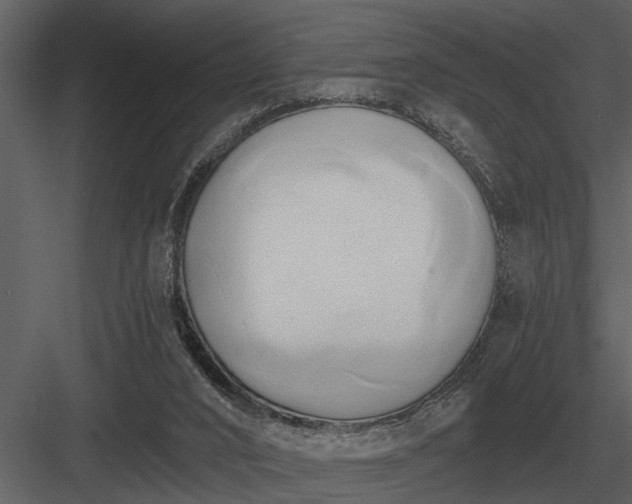 X0000084010016200702232216