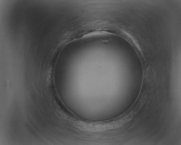 X0000084010018200702232216