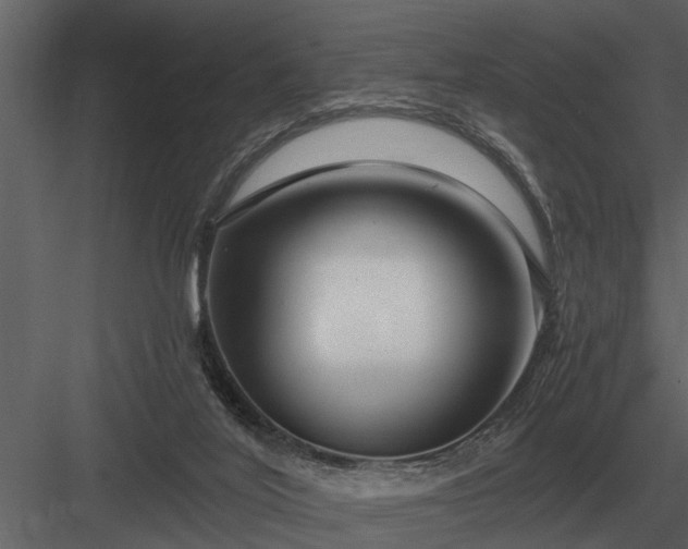 X0000084010020200702232216