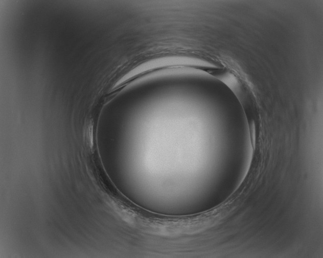 X0000084010021200702232216