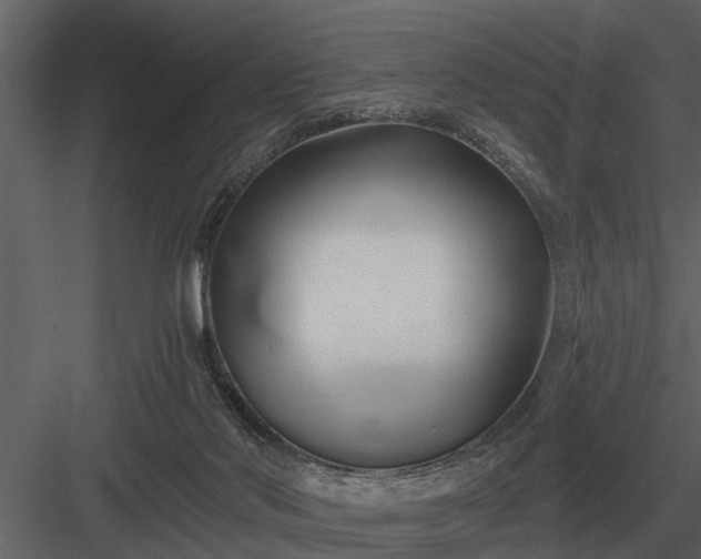 X0000084010022200702232216