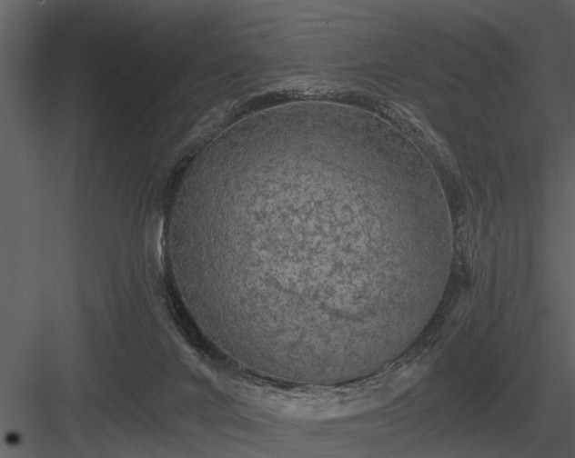 X0000084010024200702232216