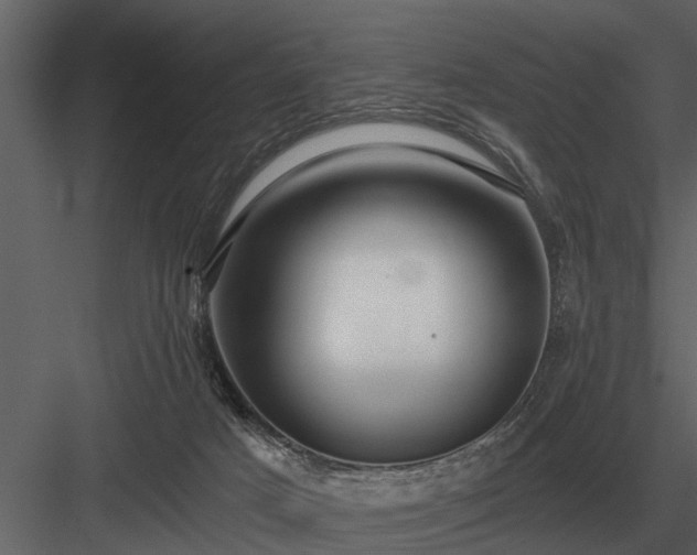 X0000084010025200702232216