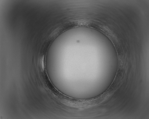 X0000084010028200702232216