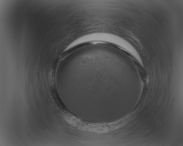 X0000084010029200702232216