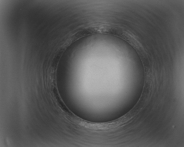 X0000084010030200702232216