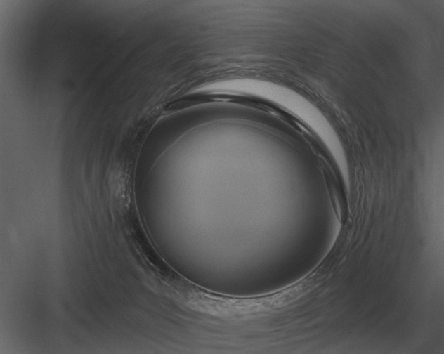 X0000084010031200702232216