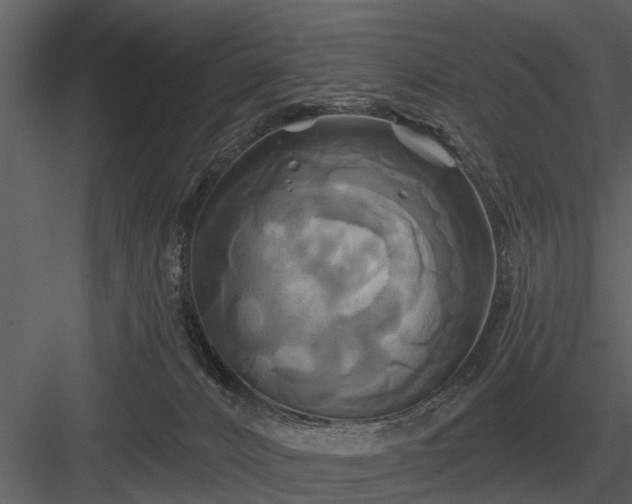 X0000084010032200702232216