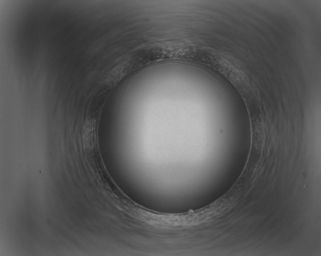 X0000084010034200702232216