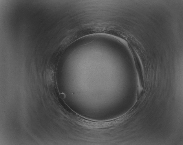 X0000084010035200702232216