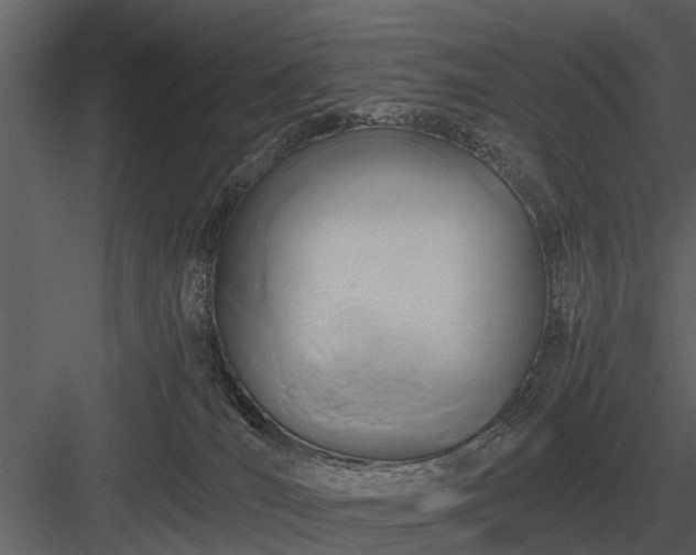 X0000084010036200702232216