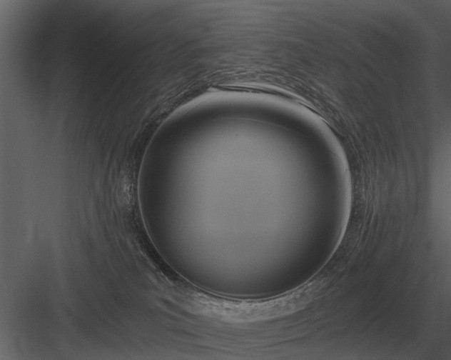 X0000084010039200702232216