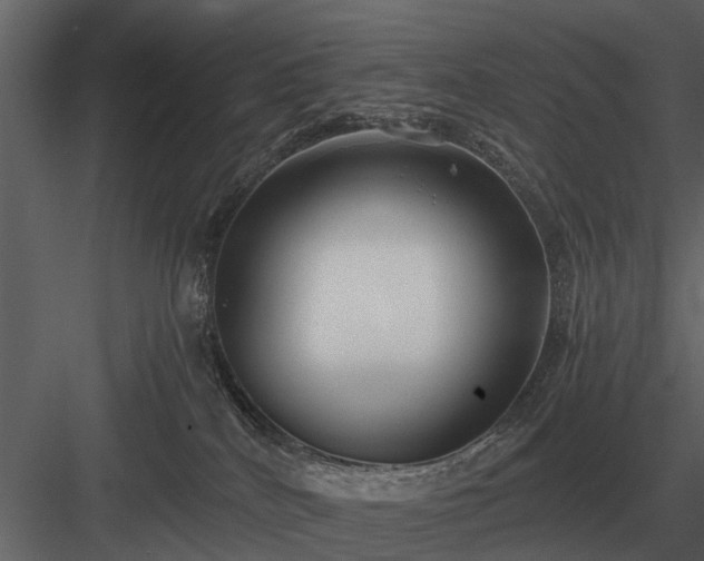 X0000084010040200702232216