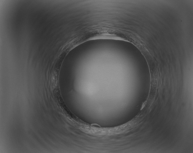 X0000084010043200702232216