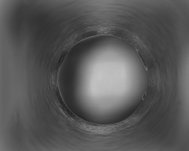 X0000084010044200702232216