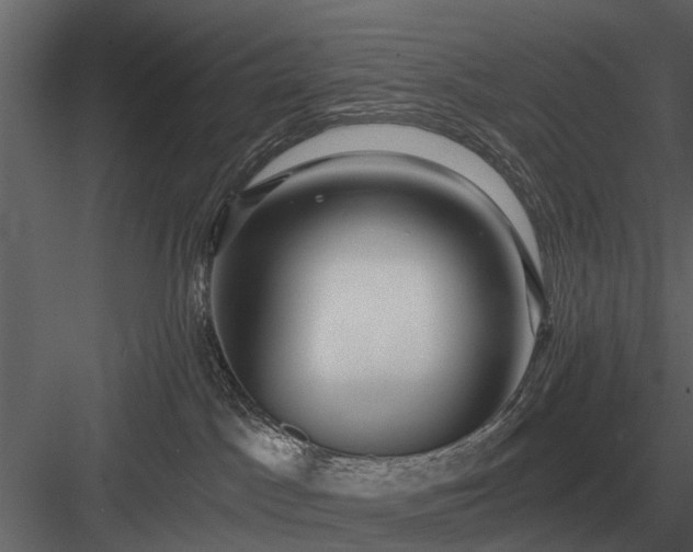 X0000084010045200702232216