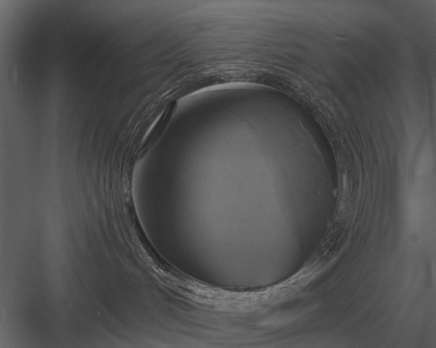 X0000084010048200702232216