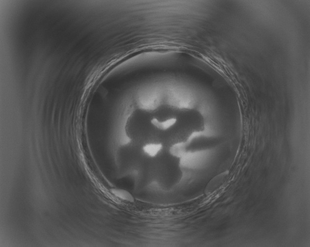 X0000084010049200702232215