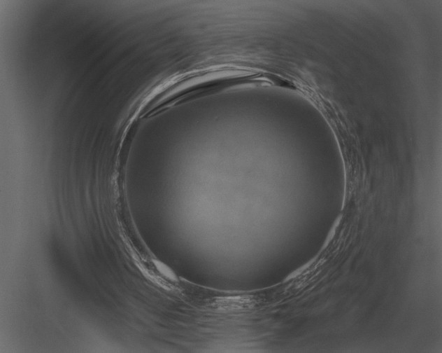 X0000084010050200702232215