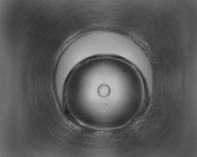 X0000084010051200702232215