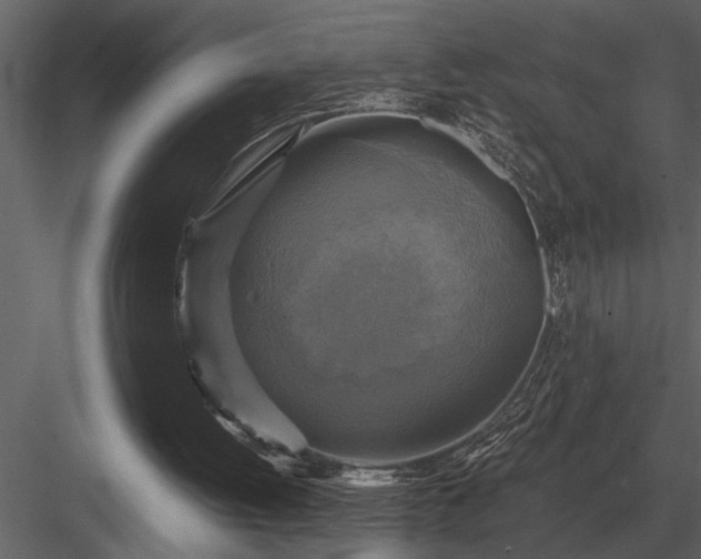 X0000084010052200702232215