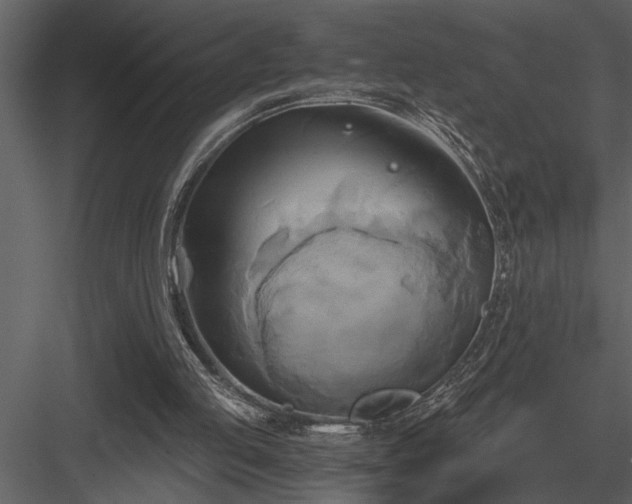 X0000084010053200702232215