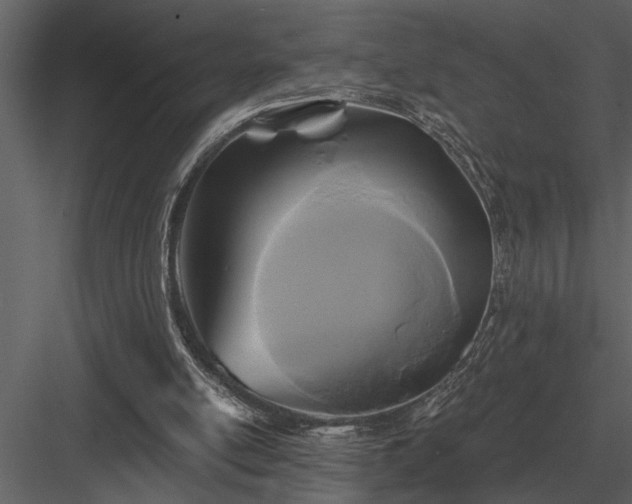 X0000084010054200702232215