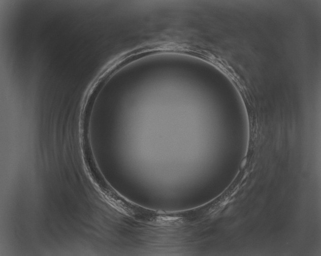 X0000084010055200702232215