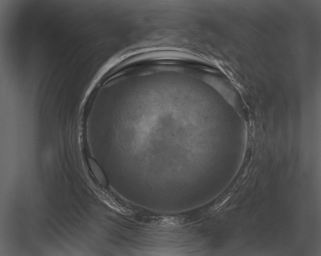 X0000084010056200702232215