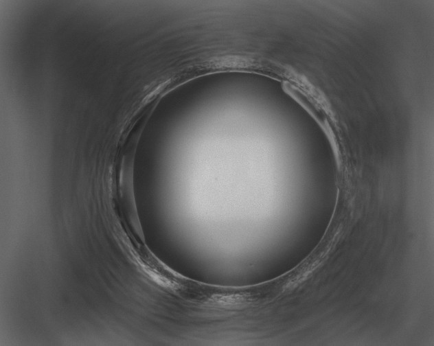 X0000084010057200702232215