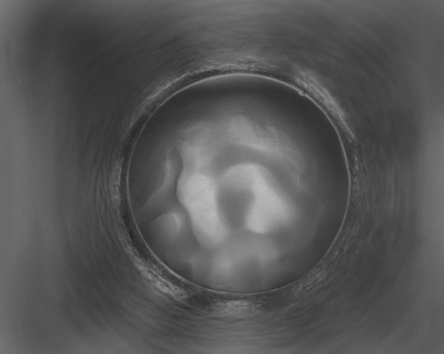 X0000084010058200702232215